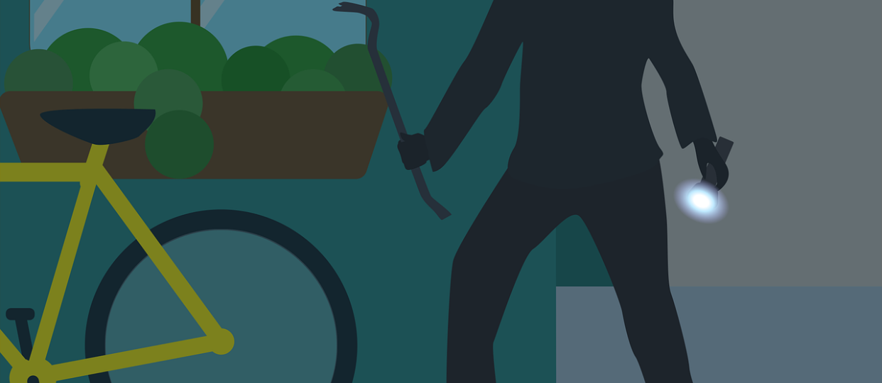 तुलसीपुरको डूम्रीगाउँबाट बाइक चोरी भएको छ