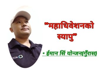 महाधिवेशनको स्यापु