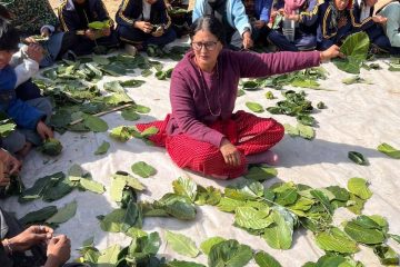 खाँडादेबी माविका विद्यार्थीलाई दुना-टपरी बुन्ने व्यवहारिक सीप प्रशिक्षण