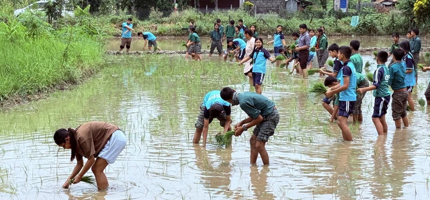 गृहपृष्ठ