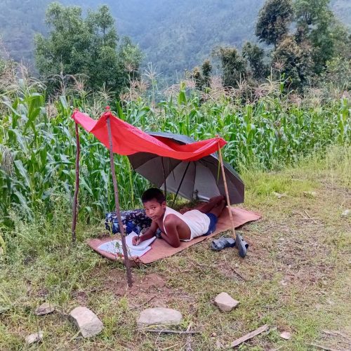 प्रदेश