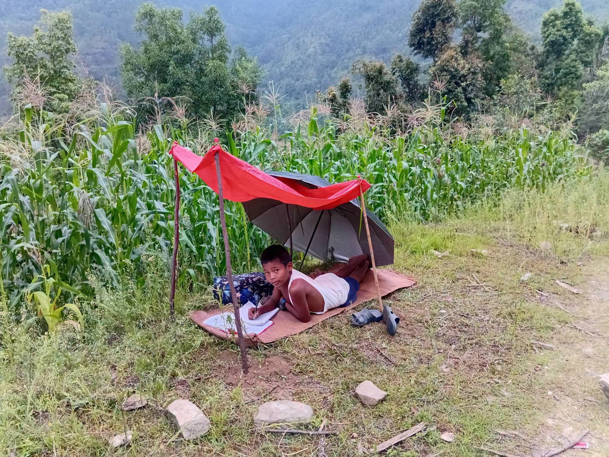 मकैबारीमै विद्यार्थीको कक्षा: बाँदर आतंकले पढाइ प्रभावित