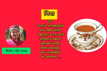 चिया